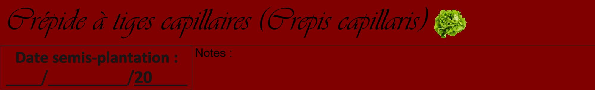 Étiquette de : Crepis capillaris - format a - style noire29viv avec comestibilité simplifiée