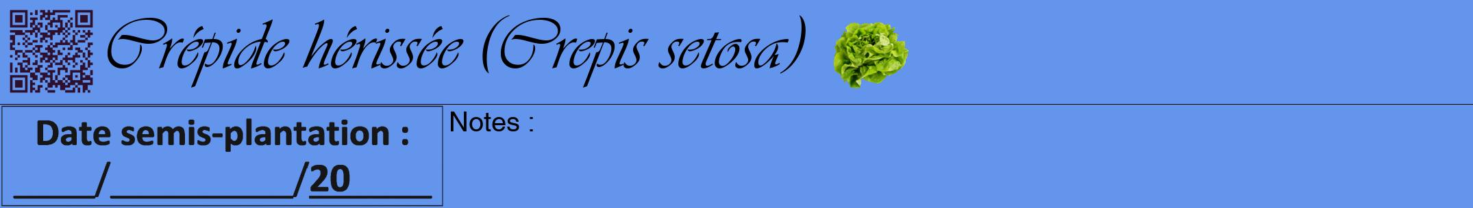 Étiquette de : Crepis setosa - format a - style noire4viv avec qrcode et comestibilité simplifiée