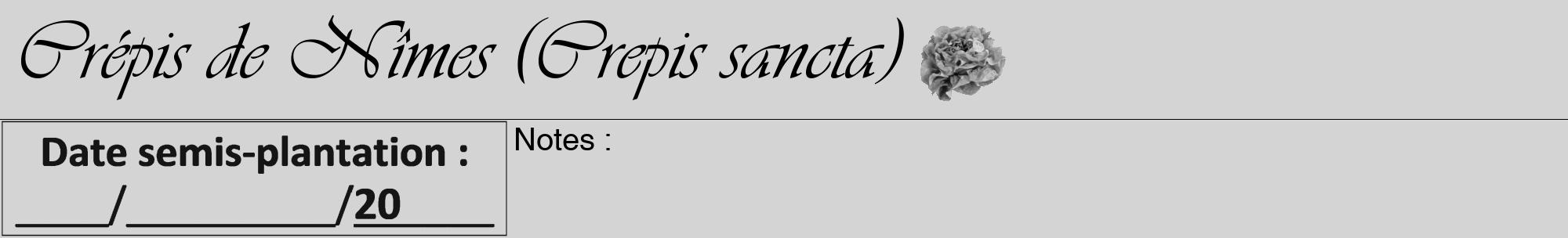 Étiquette de : Crepis sancta - format a - style noire40viv avec comestibilité simplifiée