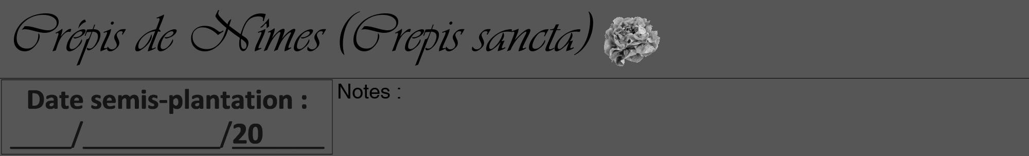 Étiquette de : Crepis sancta - format a - style noire45viv avec comestibilité simplifiée
