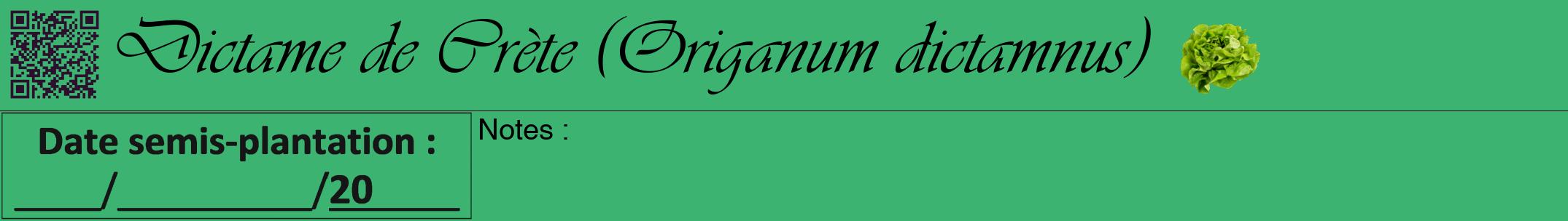 Étiquette de : Origanum dictamnus - format a - style noire12viv avec qrcode et comestibilité simplifiée