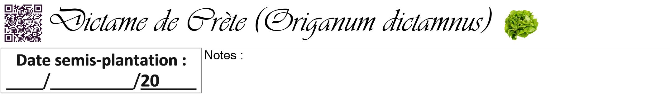 Étiquette de : Origanum dictamnus - format a - style noire60viv avec qrcode et comestibilité simplifiée