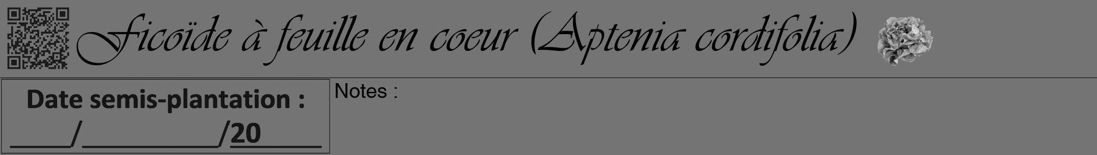 Étiquette de : Aptenia cordifolia - format a - style noire26viv avec qrcode et comestibilité simplifiée