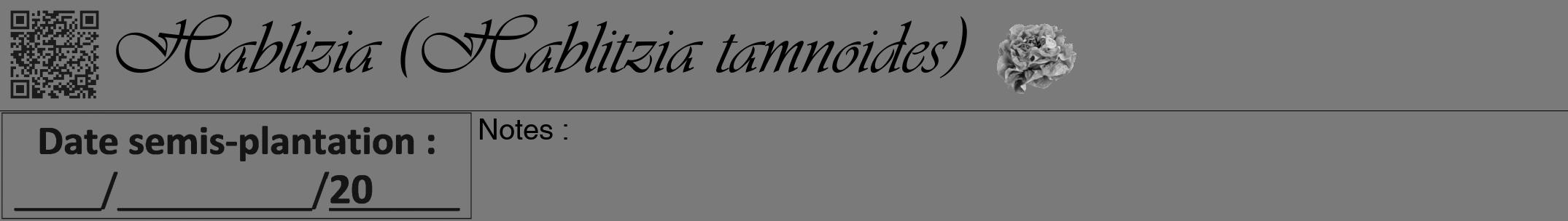 Étiquette de : Hablitzia tamnoides - format a - style noire3viv avec qrcode et comestibilité simplifiée