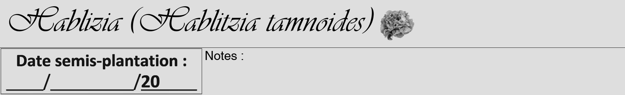 Étiquette de : Hablitzia tamnoides - format a - style noire20viv avec comestibilité simplifiée