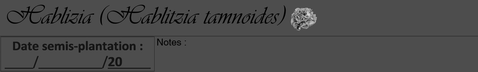 Étiquette de : Hablitzia tamnoides - format a - style noire28viv avec comestibilité simplifiée