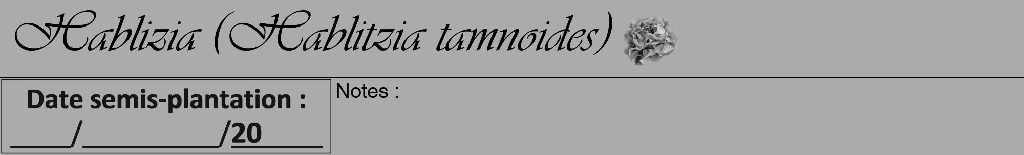 Étiquette de : Hablitzia tamnoides - format a - style noire37viv avec comestibilité simplifiée