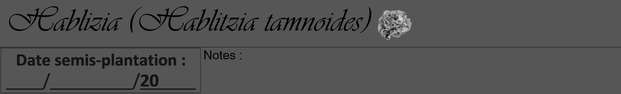 Étiquette de : Hablitzia tamnoides - format a - style noire45viv avec comestibilité simplifiée