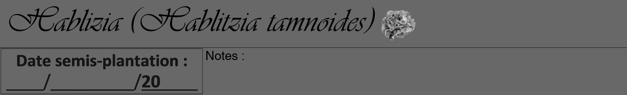Étiquette de : Hablitzia tamnoides - format a - style noire6viv avec comestibilité simplifiée