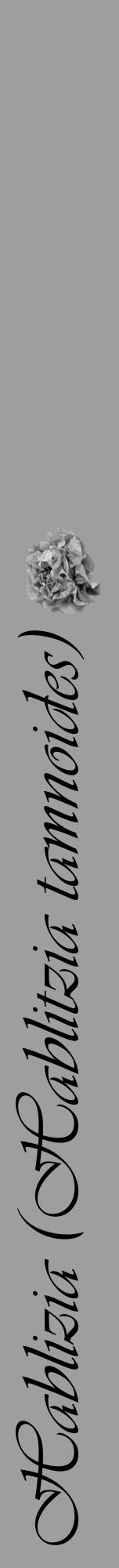 Étiquette de : Hablitzia tamnoides - format a - style noire42viv avec comestibilité simplifiée - position verticale