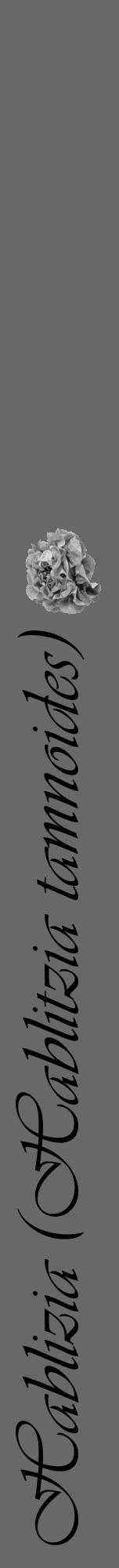Étiquette de : Hablitzia tamnoides - format a - style noire6viv avec comestibilité simplifiée - position verticale