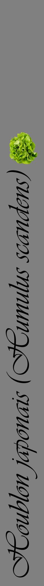 Étiquette de : Humulus scandens - format a - style noire57viv avec comestibilité simplifiée