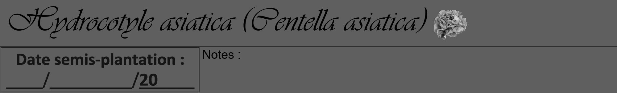 Étiquette de : Centella asiatica - format a - style noire10viv avec comestibilité simplifiée