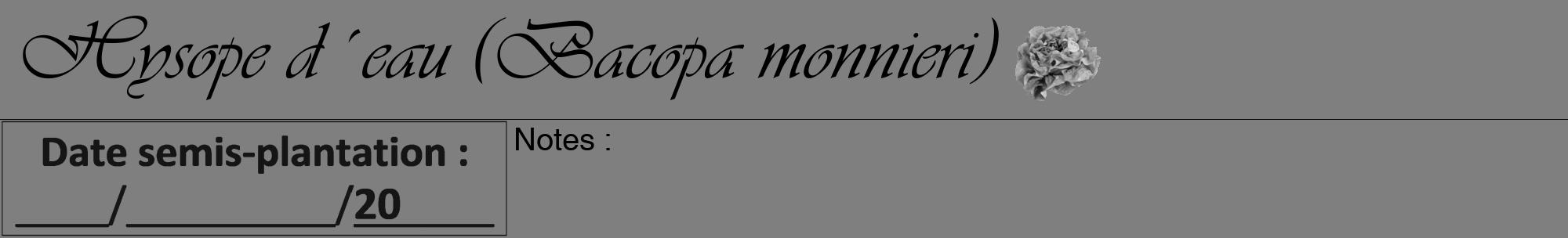 Étiquette de : Bacopa monnieri - format a - style noire31viv avec comestibilité simplifiée