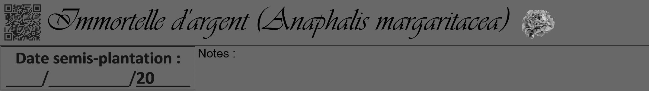 Étiquette de : Anaphalis margaritacea - format a - style noire43viv avec qrcode et comestibilité simplifiée