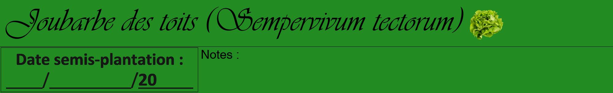 Étiquette de : Sempervivum tectorum - format a - style noire10viv avec comestibilité simplifiée