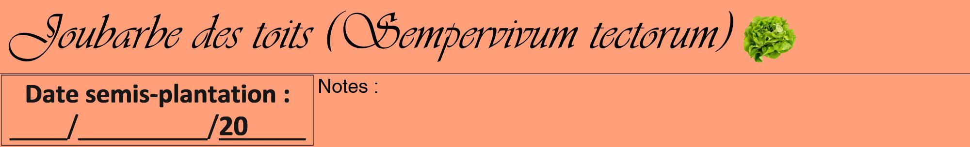 Étiquette de : Sempervivum tectorum - format a - style noire39viv avec comestibilité simplifiée