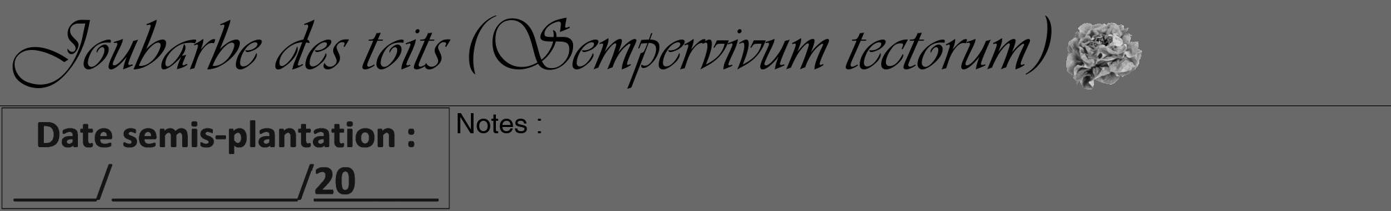 Étiquette de : Sempervivum tectorum - format a - style noire51viv avec comestibilité simplifiée