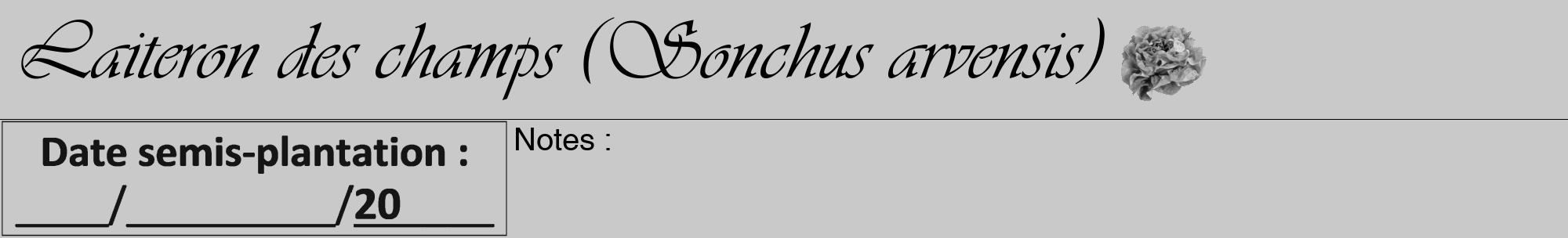 Étiquette de : Sonchus arvensis - format a - style noire54basiqueviv avec comestibilité simplifiée