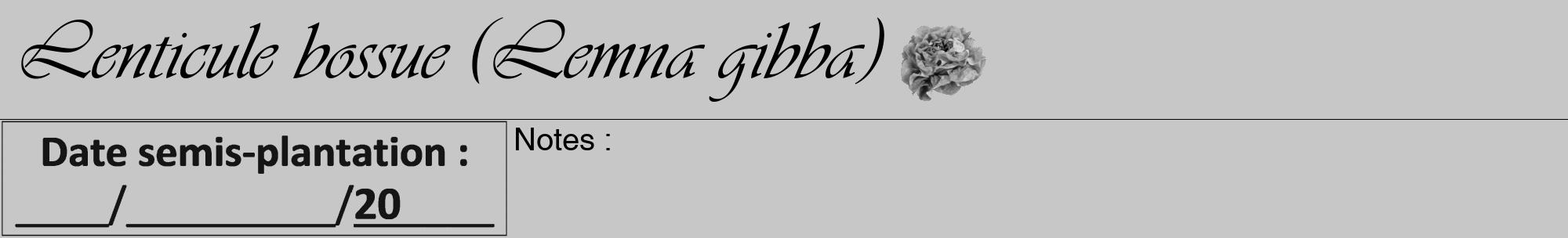Étiquette de : Lemna gibba - format a - style noire15viv avec comestibilité simplifiée