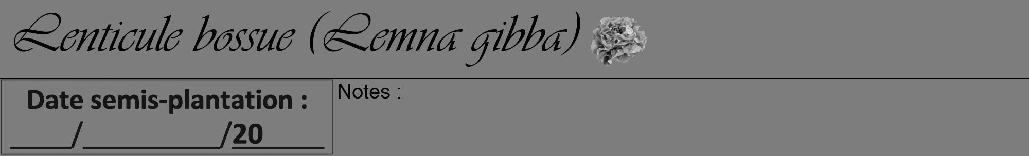 Étiquette de : Lemna gibba - format a - style noire35viv avec comestibilité simplifiée