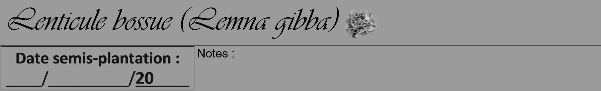Étiquette de : Lemna gibba - format a - style noire52viv avec comestibilité simplifiée