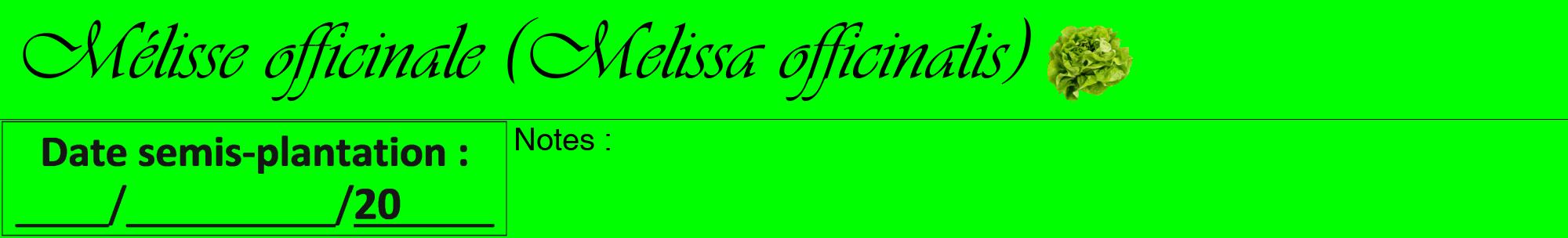 Étiquette de : Melissa officinalis - format a - style noire16viv avec comestibilité simplifiée