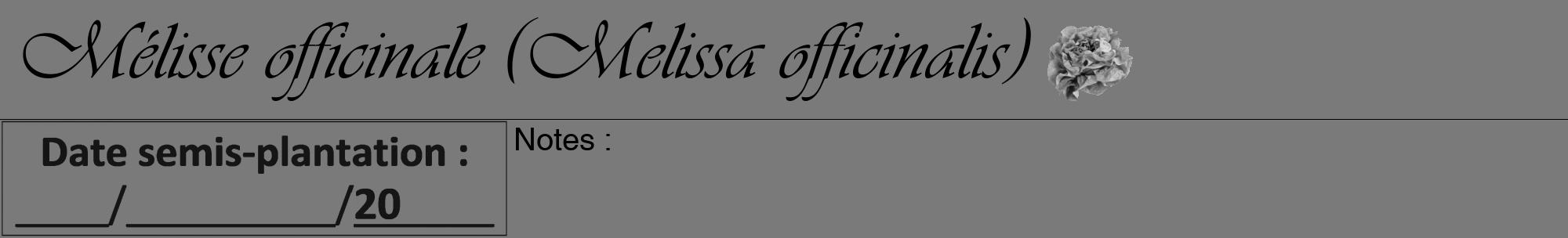 Étiquette de : Melissa officinalis - format a - style noire3viv avec comestibilité simplifiée