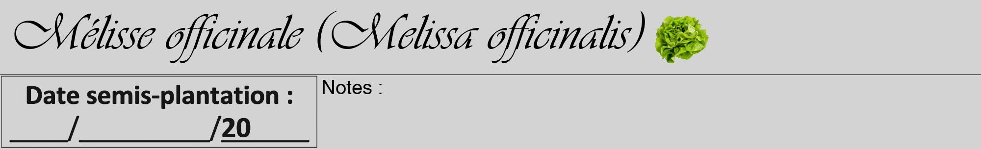 Étiquette de : Melissa officinalis - format a - style noire56viv avec comestibilité simplifiée