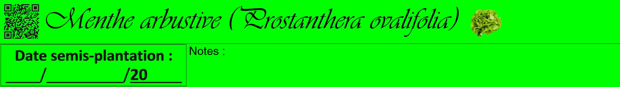 Étiquette de : Prostanthera ovalifolia - format a - style noire16viv avec qrcode et comestibilité simplifiée