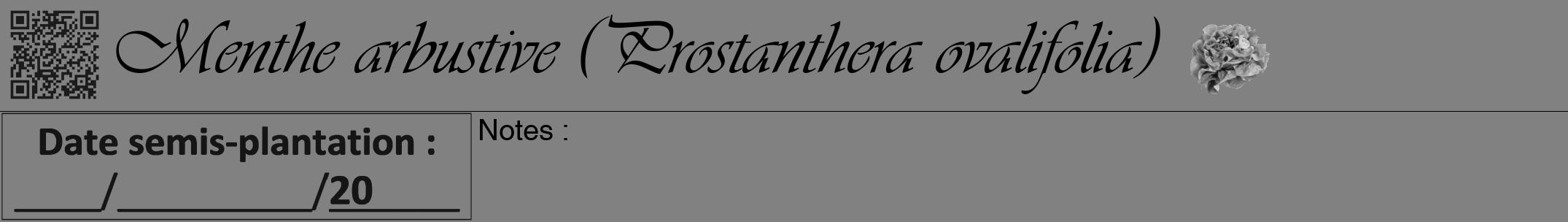 Étiquette de : Prostanthera ovalifolia - format a - style noire50viv avec qrcode et comestibilité simplifiée