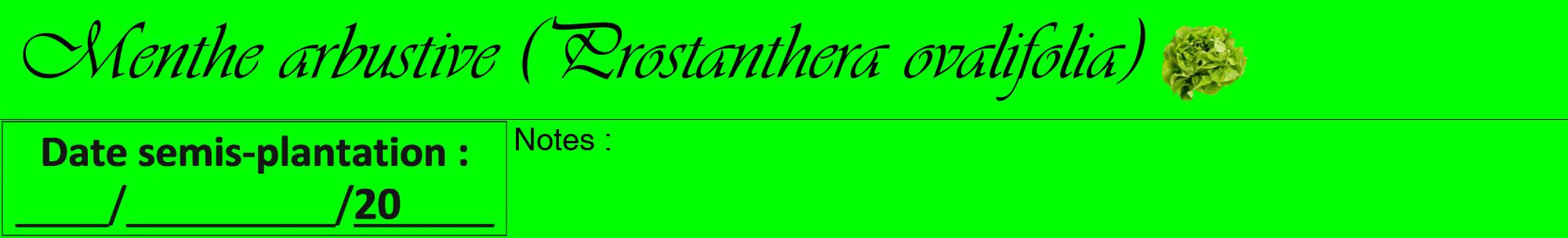 Étiquette de : Prostanthera ovalifolia - format a - style noire16viv avec comestibilité simplifiée