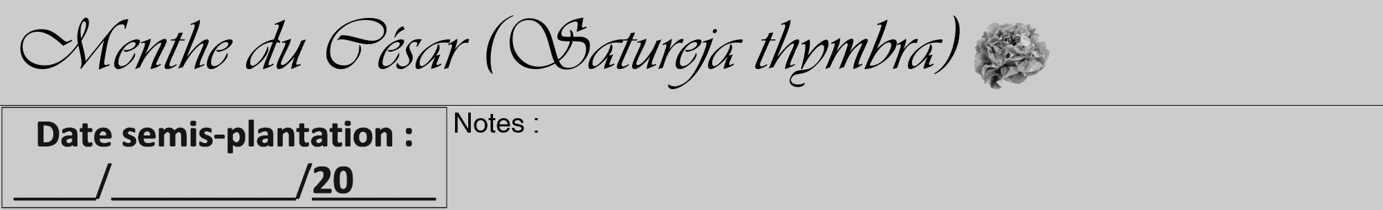 Étiquette de : Satureja thymbra - format a - style noire0viv avec comestibilité simplifiée