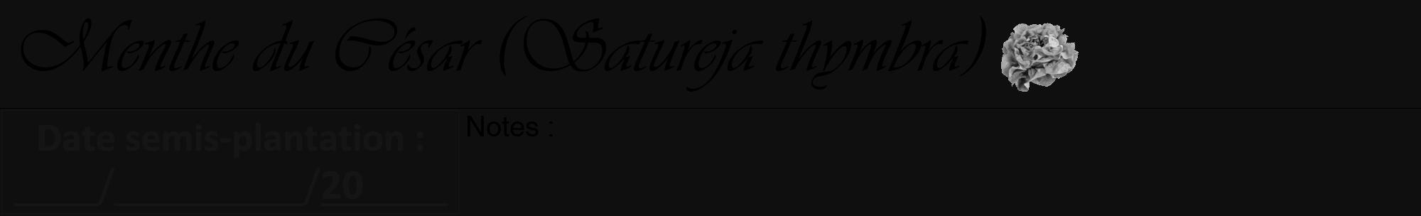 Étiquette de : Satureja thymbra - format a - style noire7viv avec comestibilité simplifiée