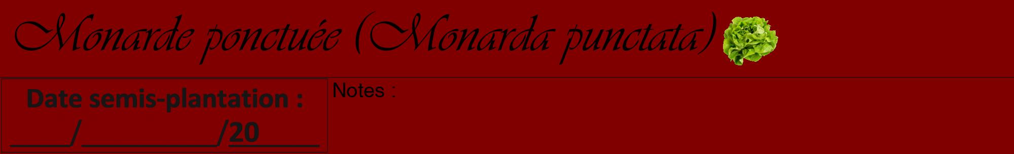 Étiquette de : Monarda punctata - format a - style noire29viv avec comestibilité simplifiée