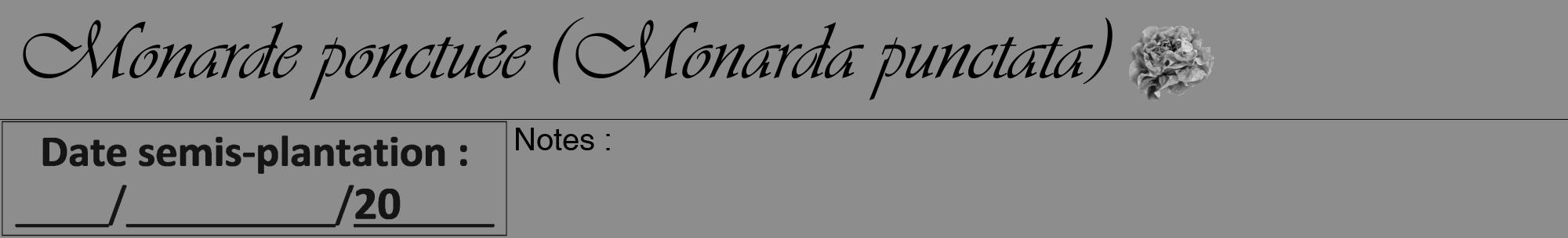 Étiquette de : Monarda punctata - format a - style noire2viv avec comestibilité simplifiée