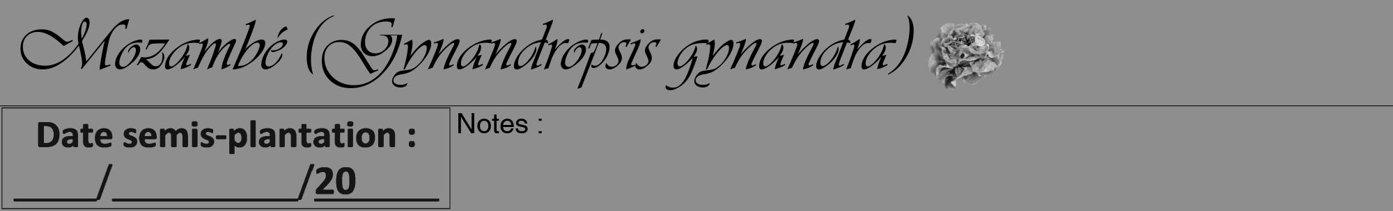 Étiquette de : Gynandropsis gynandra - format a - style noire25viv avec comestibilité simplifiée