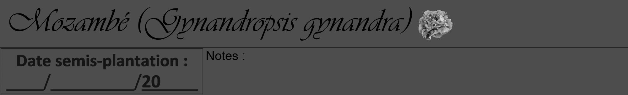 Étiquette de : Gynandropsis gynandra - format a - style noire28viv avec comestibilité simplifiée