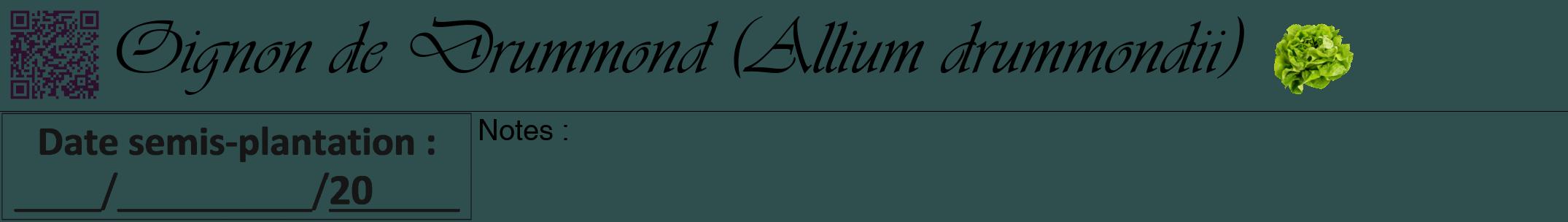 Étiquette de : Allium drummondii - format a - style noire58viv avec qrcode et comestibilité simplifiée