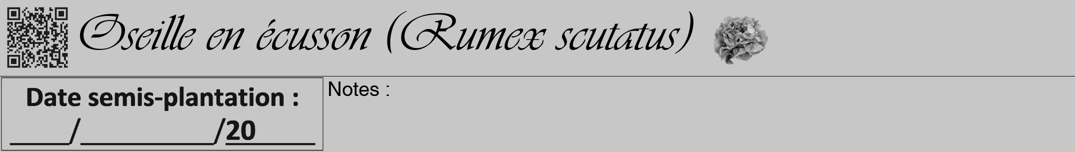 Étiquette de : Rumex scutatus - format a - style noire15viv avec qrcode et comestibilité simplifiée