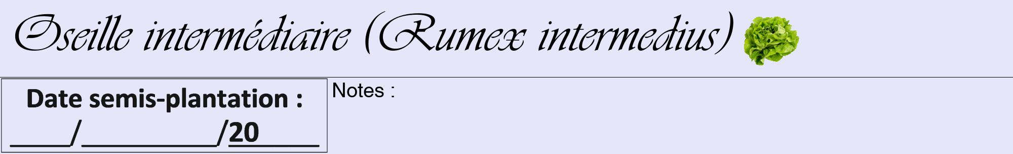 Étiquette de : Rumex intermedius - format a - style noire55viv avec comestibilité simplifiée