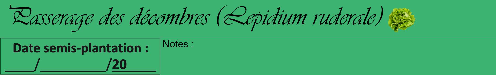 Étiquette de : Lepidium ruderale - format a - style noire12viv avec comestibilité simplifiée