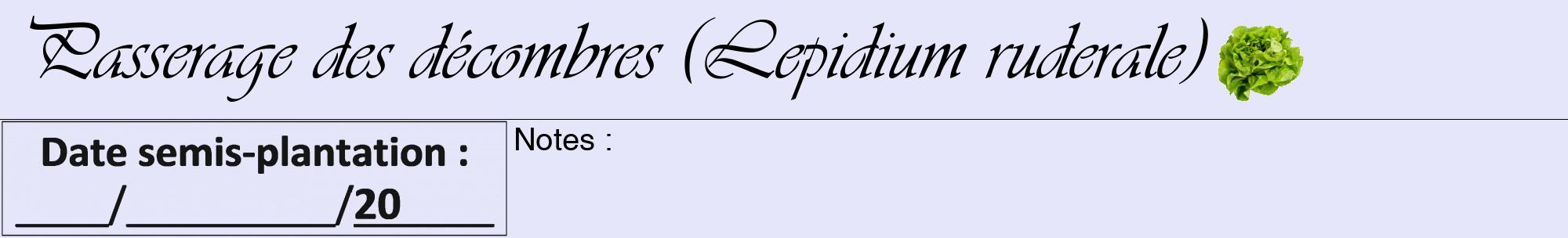 Étiquette de : Lepidium ruderale - format a - style noire55viv avec comestibilité simplifiée
