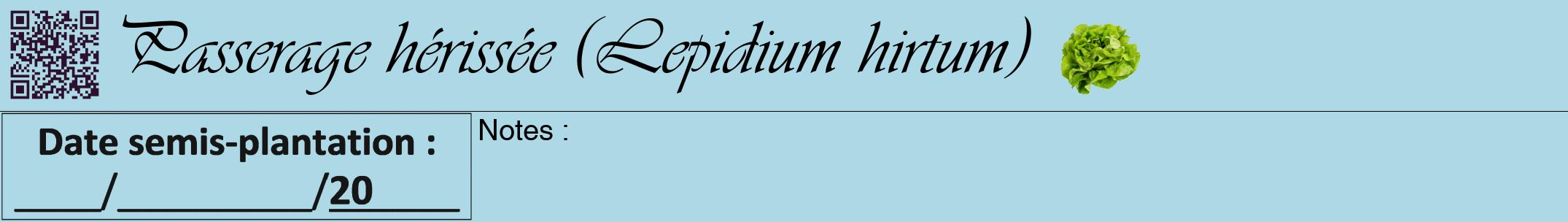 Étiquette de : Lepidium hirtum - format a - style noire0viv avec qrcode et comestibilité simplifiée