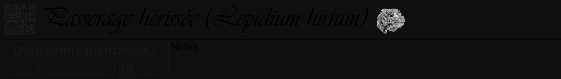 Étiquette de : Lepidium hirtum - format a - style noire7viv avec qrcode et comestibilité simplifiée