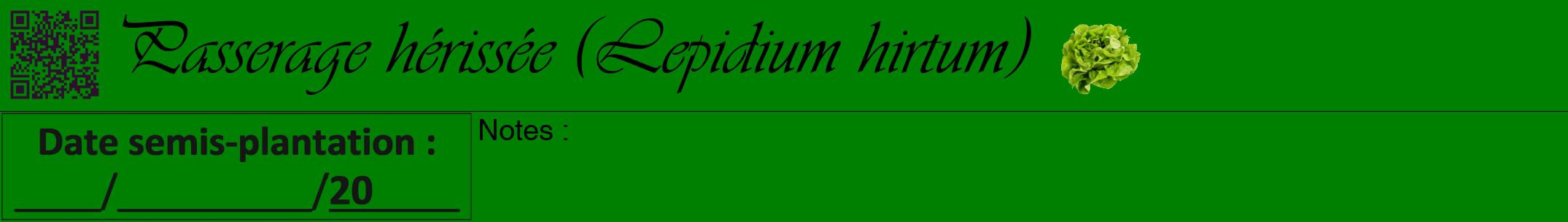 Étiquette de : Lepidium hirtum - format a - style noire9viv avec qrcode et comestibilité simplifiée