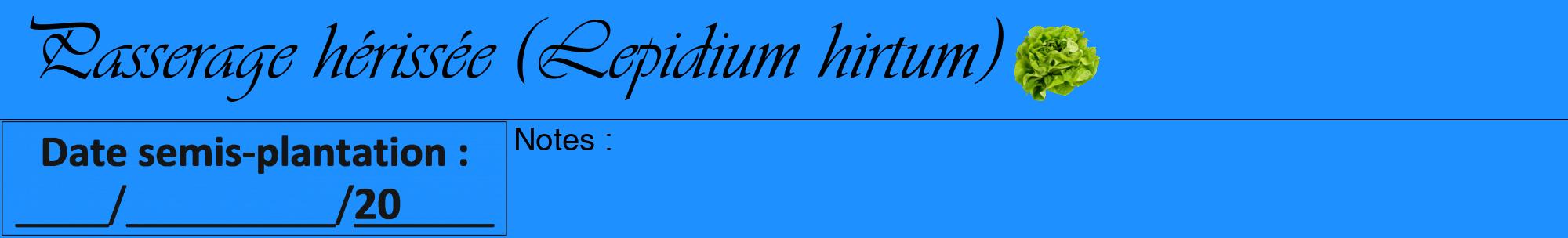 Étiquette de : Lepidium hirtum - format a - style noire3viv avec comestibilité simplifiée