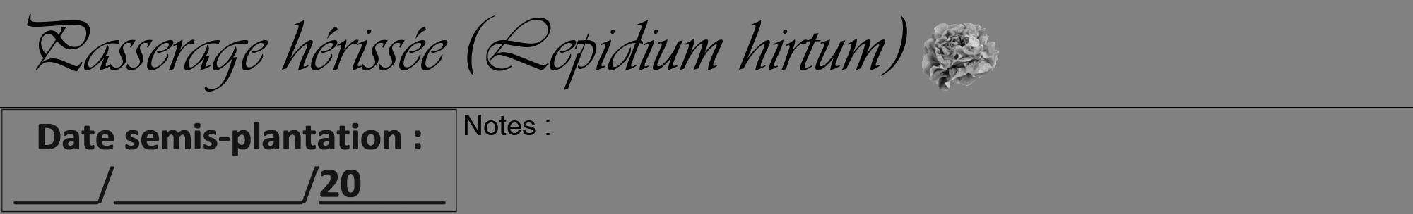 Étiquette de : Lepidium hirtum - format a - style noire50viv avec comestibilité simplifiée