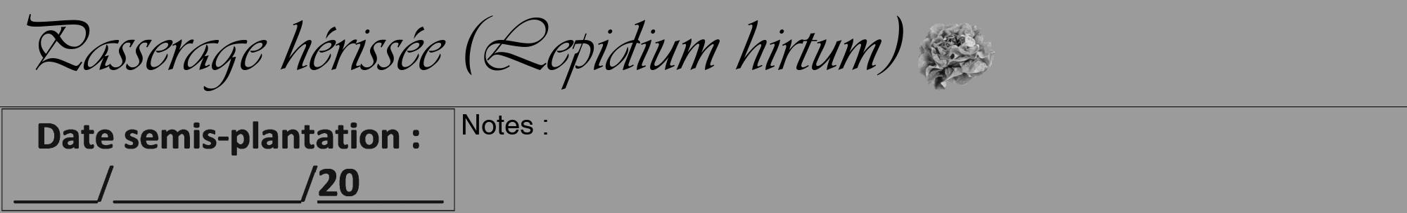 Étiquette de : Lepidium hirtum - format a - style noire52viv avec comestibilité simplifiée
