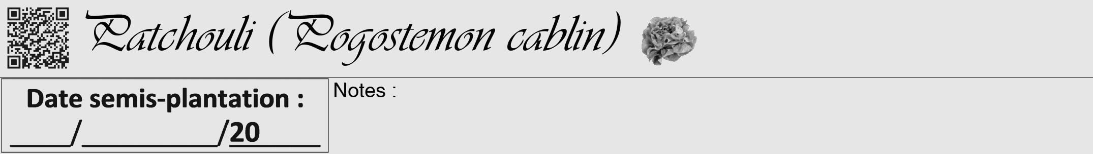 Étiquette de : Pogostemon cablin - format a - style noire18viv avec qrcode et comestibilité simplifiée